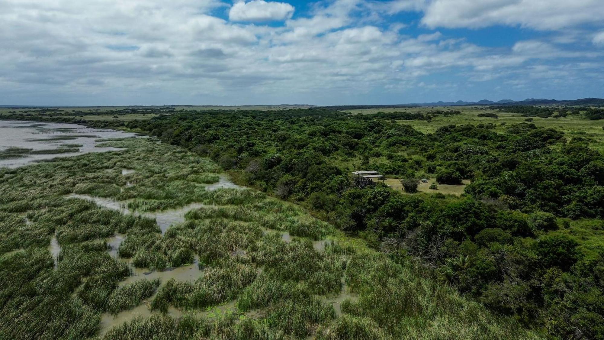 فندق مونزي سفاريس لاكشري تينتيد كامبس Saint Lucia Estuary المظهر الخارجي الصورة